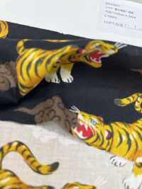 850587 론 로컬 테일즈 토미[원단] VANCET 서브 사진