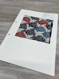 850588 론 로컬 테일즈: 구운 도미[원단] VANCET 서브 사진