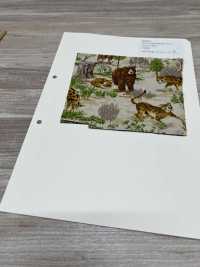 850569 브로드클로스 정크 빈티지 사바나[원단] VANCET 서브 사진