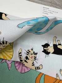 850568 브로드클로스 좀 가져가! 캣펀치[원단] VANCET 서브 사진