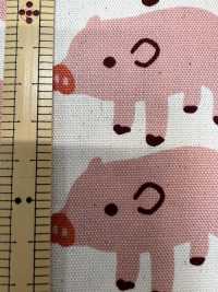 850576 표백되지 않은 옥스포드 코튼 부부 돼지[원단] VANCET 서브 사진