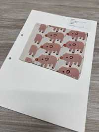 850576 표백되지 않은 옥스포드 코튼 부부 돼지[원단] VANCET 서브 사진