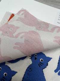 850575 표백되지 않은 옥스포드 코튼 캣 앤 치도리[원단] VANCET 서브 사진