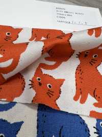 850575 표백되지 않은 옥스포드 코튼 캣 앤 치도리[원단] VANCET 서브 사진