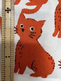 850575 표백되지 않은 옥스포드 코튼 캣 앤 치도리[원단] VANCET 서브 사진