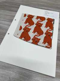 850575 표백되지 않은 옥스포드 코튼 캣 앤 치도리[원단] VANCET 서브 사진