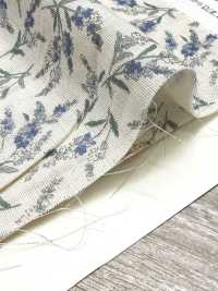 83073 더블 거즈 무표백 코튼 노스탤지어 컬렉션 / 베로니카[원단] VANCET 서브 사진