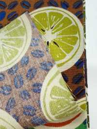 4249 세븐베리® 브로드클로스 스타일리시 릴렉스 / 오렌지[원단] VANCET 서브 사진