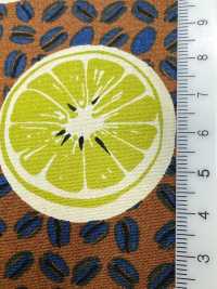 4249 세븐베리® 브로드클로스 스타일리시 릴렉스 / 오렌지[원단] VANCET 서브 사진