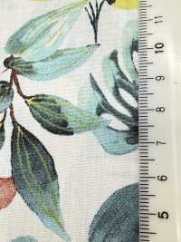 4251 SEVENBERRY® 브로드클로스 스타일리시 릴렉스/바캉스[원단] VANCET 서브 사진