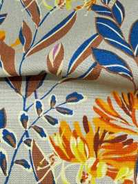 4250 세븐베리® 브로드클로스 스타일리시 릴렉스 / 푸아나[원단] VANCET 서브 사진