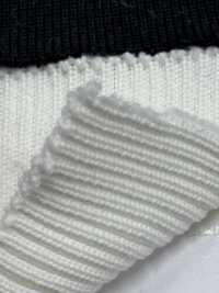 R1555 리브 니트 원사 5가닥 2x1 60cm 폭[리브 니트 / 고무단 / 시보리] TAKENAKA CORPORATION 서브 사진