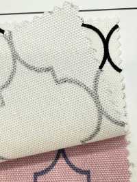 SP5500-DR 모로코 옥스포드(반접힘)[원단] COSMO TEXTILE 서브 사진