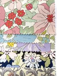 AP55808 에센셜 그레이스 2 옥스포드(라운드)[원단] COSMO TEXTILE 서브 사진