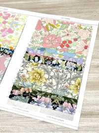 AP55808-DR 에센셜 그레이스 2 옥스포드(하프폴드)[원단] COSMO TEXTILE 서브 사진