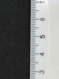 1038571 WOLSTAR™ Tropical X Co 방수 및 코팅 뒷면[원단] 타키사다 나고야(TAKISADA NAGOYA) 서브 사진