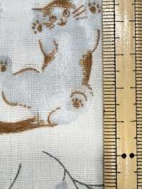 AP55205-DR 파스텔 애니멀 더블 거즈 (하프 폴드)[원단] COSMO TEXTILE 서브 사진