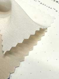 1830 폴리텐셀™ 모달 섬유 브로드클로스[원단] 쿠와무라 섬유(KUWAMURA) 서브 사진