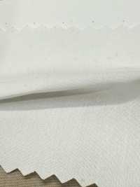 SBT-003 오가닉 에코 노 패턴[원단] 쿠와무라 섬유(KUWAMURA) 서브 사진