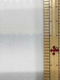 2190 80/2 엔드 온 엔드 타마무시 샴브레이[원단] 쿠와무라 섬유(KUWAMURA) 서브 사진