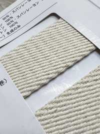 NO5502-19 벨트 테이프 트윌 백[리본 / 테이프 / 코드] RIVER 서브 사진