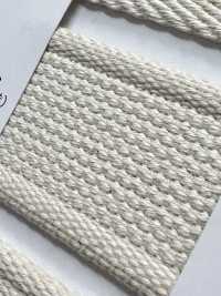 NO5502-23 셀비지 직조 벨트 테이프[리본 / 테이프 / 코드] RIVER 서브 사진