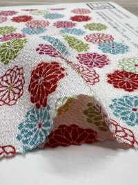 KKP2338-D-HAIKARA 후타코 지리멘 하이카라 코기쿠[원단] 우니 섬유(UNI TEXTILE) 서브 사진