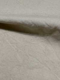 OJE253383 코튼 브로드클로스 워셔 가공[원단] Oharayaseni 서브 사진