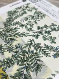 KKP3600-58-DBK-101W 뉴 비너스 와이드 와이드 와이드[원단] 우니 섬유(UNI TEXTILE) 서브 사진