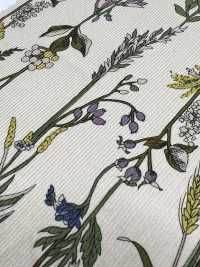 3026-1770-1 21W 코듀로이[원단] 홋코(HOKKOH) 서브 사진