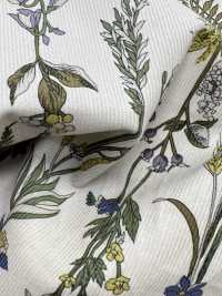 3026-1770-1 21W 코듀로이[원단] 홋코(HOKKOH) 서브 사진