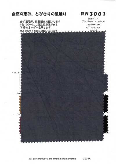 RN3001 강연 덤프 그랜드 캐니언·RANI