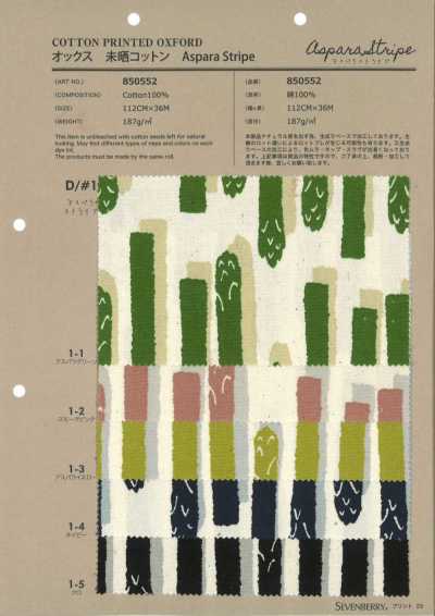 850552 옥스포드 무표백 코튼 Aspara Stripe