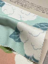 850553 표백하지 않은 옥스포드 코튼 콜리플라워[원단] VANCET 서브 사진