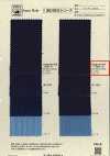 INDIGO 1427 검은사시코 한마리