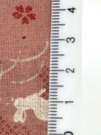 B88218Z 직조 상태, 반접기[원단] VANCET 서브 사진