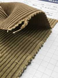 ND7025 샹카르 9W 유기농 코듀로이 (바이오 공정 처리)[원단] 쿠모이 미인(Kumoi Beauty) 서브 사진