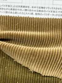 ND7025 샹카르 9W 유기농 코듀로이 (바이오 공정 처리)[원단] 쿠모이 미인(Kumoi Beauty) 서브 사진