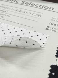 B88191Z 60수 론사, 물방울/줄무늬 패턴, 반접기[원단] VANCET 서브 사진