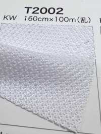 T2002 [안감] 서브 사진