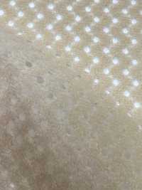 6400 [안감] 서브 사진