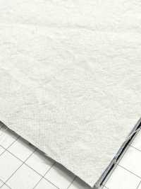 KINANADAKI-31 KINANADAKI 31, 피즈 피즈 피즈 피즈~~[원단] 코마츠와 텍스타일(KOMATSUWA TEXTILE) 서브 사진