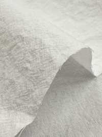 KINANADAKI-31 KINANADAKI 31, 피즈 피즈 피즈 피즈~~[원단] 코마츠와 텍스타일(KOMATSUWA TEXTILE) 서브 사진