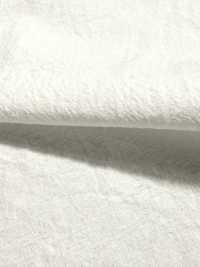 KINANADAKI-31 KINANADAKI 31, 피즈 피즈 피즈 피즈~~[원단] 코마츠와 텍스타일(KOMATSUWA TEXTILE) 서브 사진