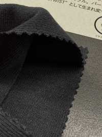 1078650 알비니 리트위스트 30/1 원형 립[원단] 타키사다 나고야(TAKISADA NAGOYA) 서브 사진