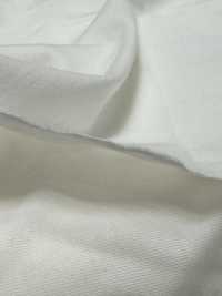 1078420-OUTLET 알비니 씨 아일랜드 코튼 저지[원단] 타키사다 나고야(TAKISADA NAGOYA) 서브 사진