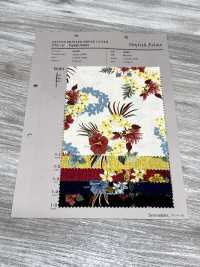 4242 브로드클로스 스타일리시 릴렉스 트로피컬 씨[원단] VANCET 서브 사진