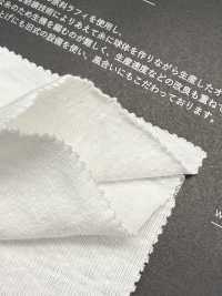 FJ680000 라피 볼 싱글 다이마루[원단] Fujisaki Textile 서브 사진