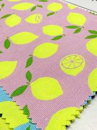 AP65103 형광 프린트 옥스포드 (통롤)[원단] COSMO TEXTILE 서브 사진