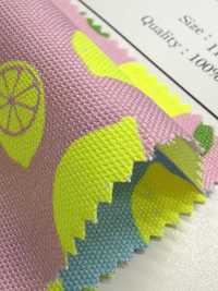 AP65103 형광 프린트 옥스포드 (통롤)[원단] COSMO TEXTILE 서브 사진